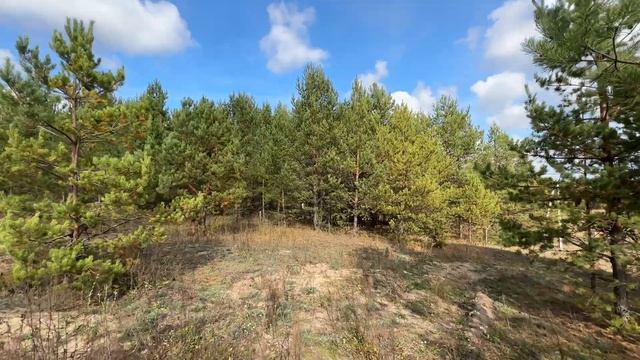 Обзор территории первого заповедного комьюнити в поселке Ильинское Зеленодольского района