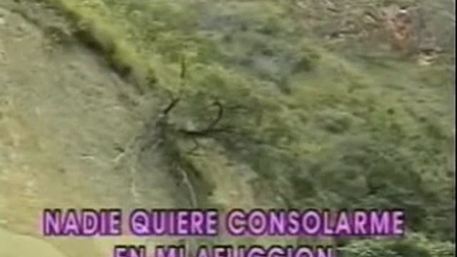 La Cumparsita Julio Iglesias karaoke смотреть онлайн