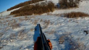 Охота на зайца 2022. ОХОТА МЕЧТЫ! ИТОГ: ТРИ ЗАЙЦА + ЛИСА