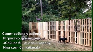 Заборы из поддона.