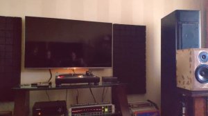 Flying Lemon Audio System X тест перед покраской!