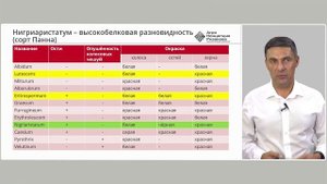 Озимая пшеница: как выбрать лучший сорт? | Агроном | Сергий Ризанов