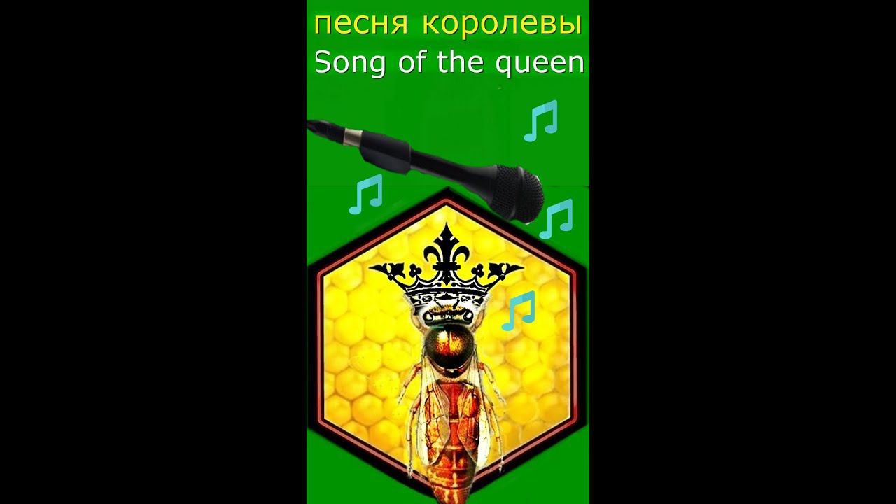 Как поют матки.Beehive -how the queens sing .