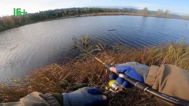 Рыбалка на щуку на спиннинг осенью