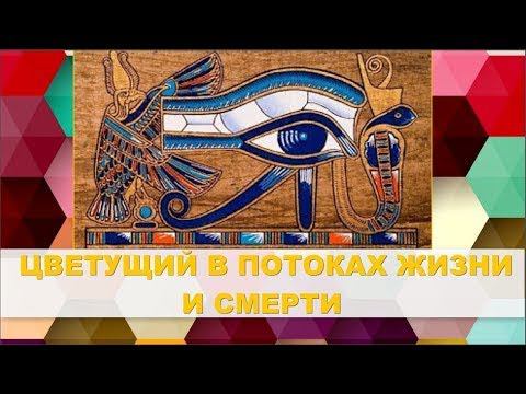 4. Цветущий в потоках жизни и смерти (наги Ра) смотреть онлайн