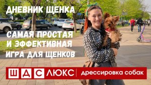 Дрессировка щенка
Самая простая и эффективная игра для щенков