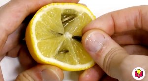 Лайфхаки с лимоном: 13 потрясающих способов, как использовать цитрус в быту, а не только есть и пить
