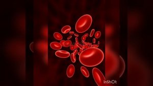 Может ли меняться группа крови человека?