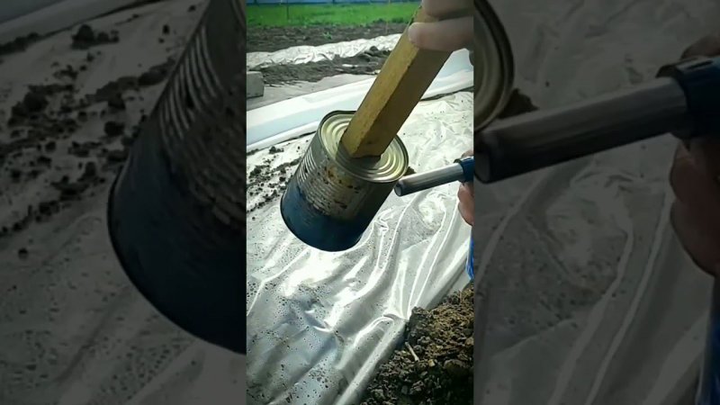 Сохрани, чтобы не потерять  #лайхаки
