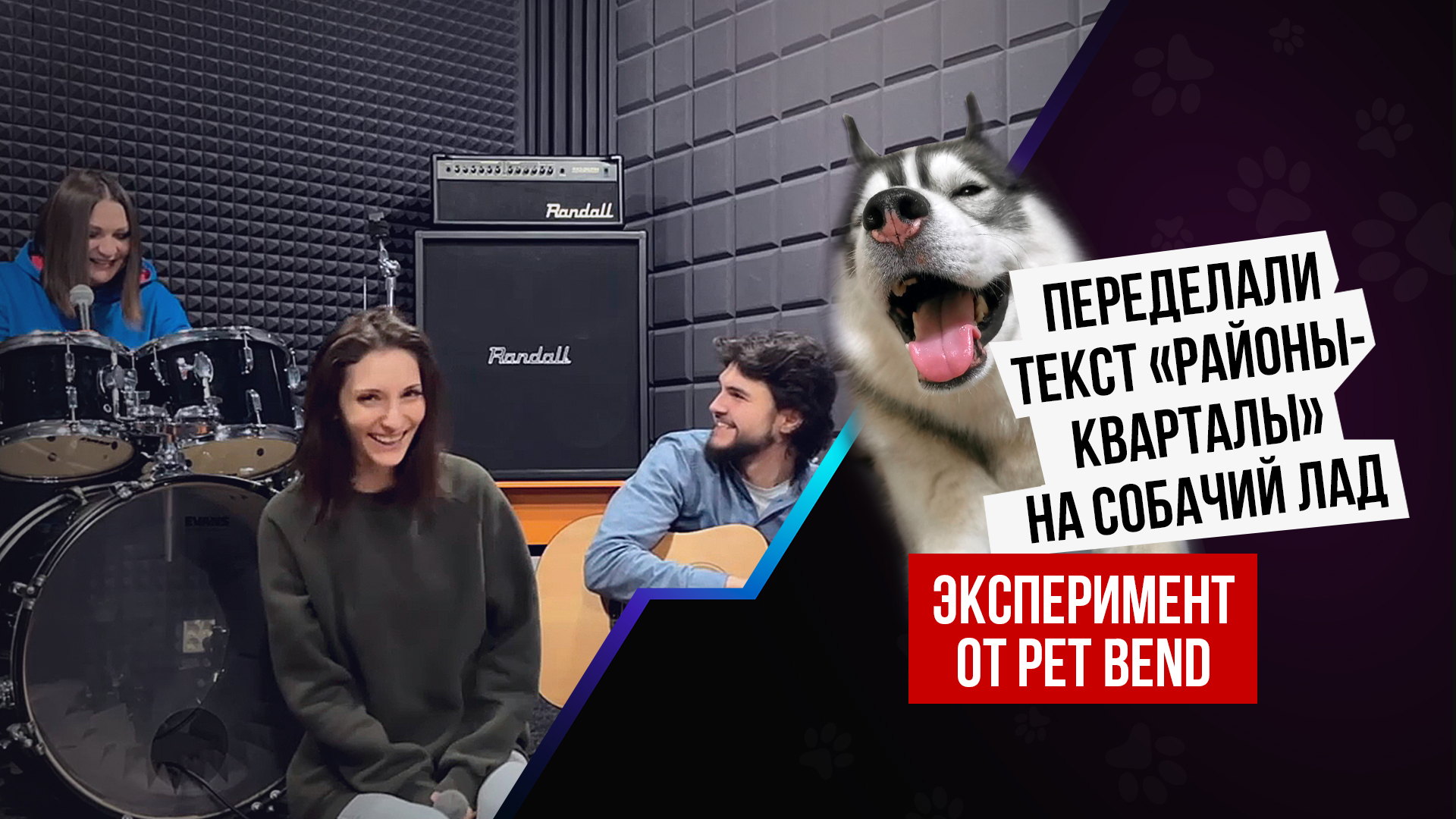 Звери "Районы-кварталы" cover by PET BAND