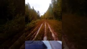 Луаз на резине forward safari 540 205 75 r15 по грязи