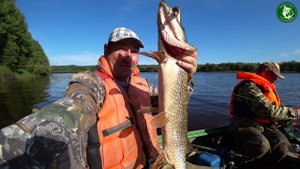 ЭТИХ РЫБ ТАСКАТЬ ОДНО УДОВОЛЬСТВИЕ! ЩУКА, ОКУНЬ НА РЕКЕ ТАВДА, РЫБАЛКА, ДЖИГ, МОШКА, ОХОТНИЧИЙ СУП!