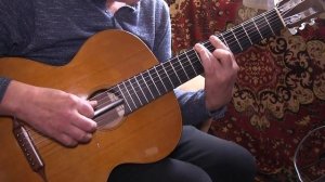 Russian 7str.Guitar. Отцвели уж давно. Обработка С.Орехова