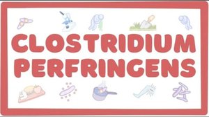 Пищевые отравления, газовая гангрена (микробиология, инфекционные болезни) лекция