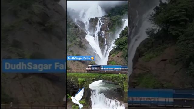 dudhsagar waterfall goa #shortsvideo #nature #viral