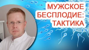 Мужское бесплодие: тактика / Доктор Черепанов