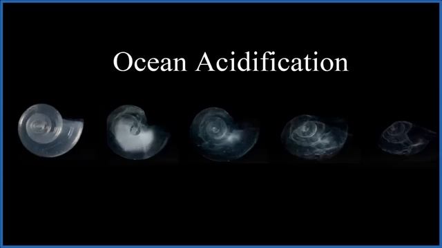 Reaction of CaCO3 + HCl (Calcium carbonate plus Hydrochloric acid) смотреть онлайн