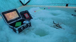 Выуживание корюшки. Владивосток