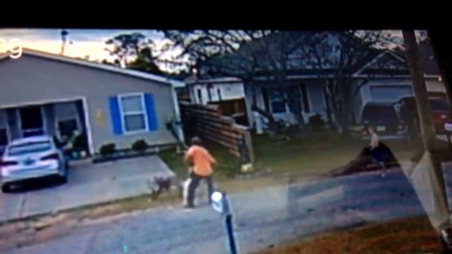 Pit Bull Dog Attacks Huskie смотреть онлайн