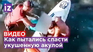 Новое видео нападения акулы на туристку в Египте / Известия