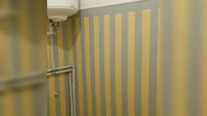 Покрасили стены,постелили линолеум в санузле.