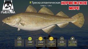 ОТЛИЧНЫЙ ФАРМ НА НОРВЕЖСКОМ МОРЕ НА 34 БАНКЕ В РУССКОЙ РЫБАЛКЕ 4 РР4