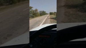 газон3309 с движком от некста