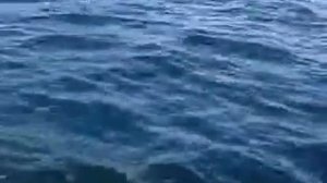 Смотреть Морская Донка И Морской Спиннинг - "Рыбалка Моё Хобби" - Спиннинг Для Морской Рыбалки