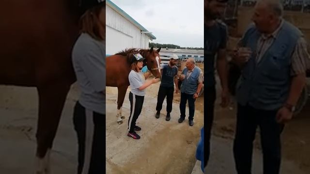 Восточный маршрут(51).mp4 смотреть онлайн