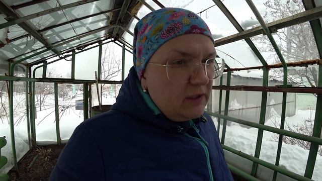 Теплица весной. Забудьте о белокрылке.