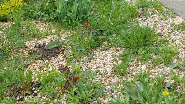 Сад в начале мая смотреть онлайн