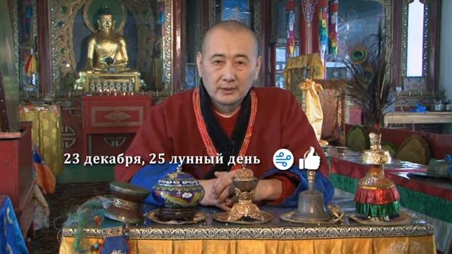 Зурхай 23 декабря смотреть онлайн