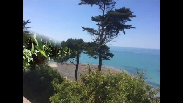 Птицы поют под открытым небом смотреть онлайн