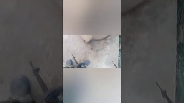 самый дешёвый тандыр своими руками смотреть онлайн