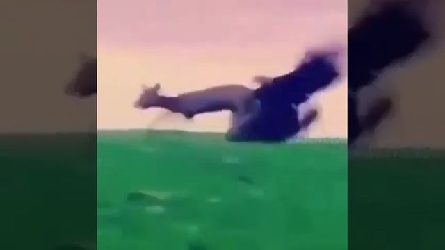 Соколиная охота-это метод охоты на диких животных с использованием дрессированных хищных птиц