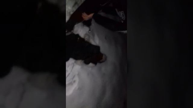 Getto ( Капончик London Fraser ) режим аул. смотреть онлайн