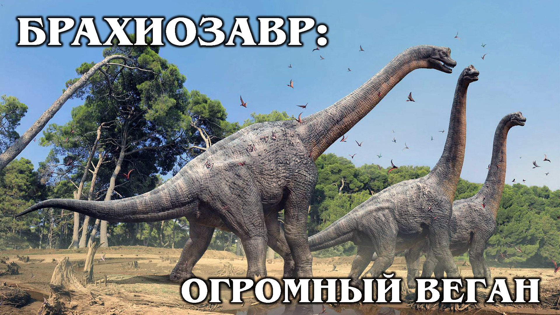 БРАХИОЗАВР: Почти самый высокий и большой травоядный динозавр | Интересные факты про динозавров
