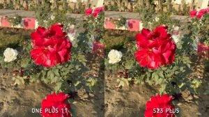 One Plus 11 VS Samsung Galaxy S23 Plus Camera Test Comparison
