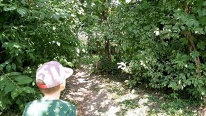 Динопарк Минск и Диноростик Dinopark Minsk & Dinorostik Парк динозавров в Минске Беларусь Ростислав