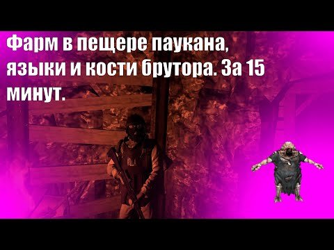Как фармить кости брутора, языки бляка. Stay Out_Сталкер онлайн.