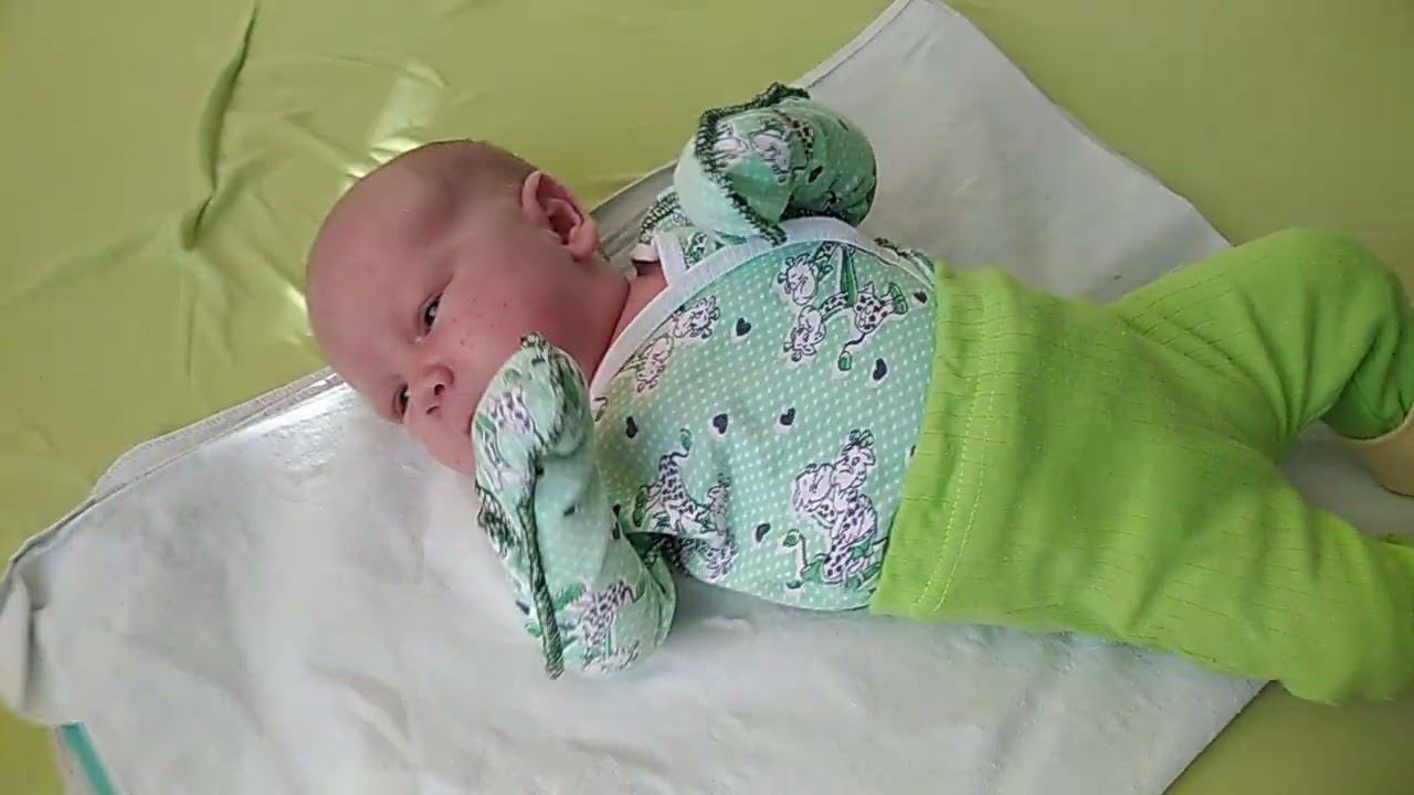 Мишка крошка смотреть онлайн