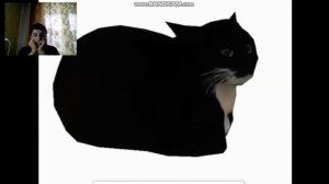 #мем #кот Я смотрел мем кот #смех #tiktok #рекомендации