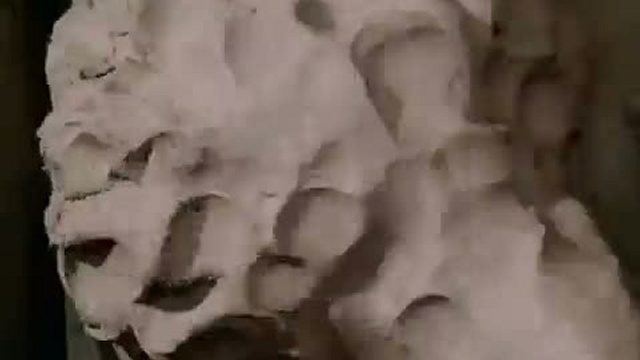 Возможности Диалога				