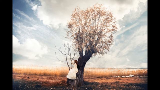 Притча "Что посеешь то и пожнешь