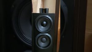 Электроники 150 ас 001 с хейлами