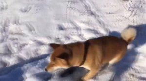 Это фиаско братан ОРИГИНАЛ