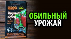 Удобрение КРУТОЙ ПЕРЕЦ Сочное лето 40% фульвокислот 5г