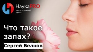 Что такое запах и обоняние? | Лекции по химии – химик-флейворист Сергей Белков | Научпоп