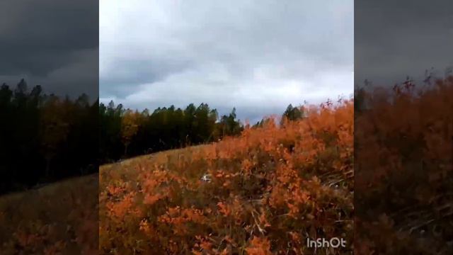 Мы его искали, а он нашёлся сам. смотреть онлайн