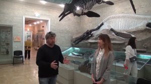 Существовали ли динозавры? (10+)